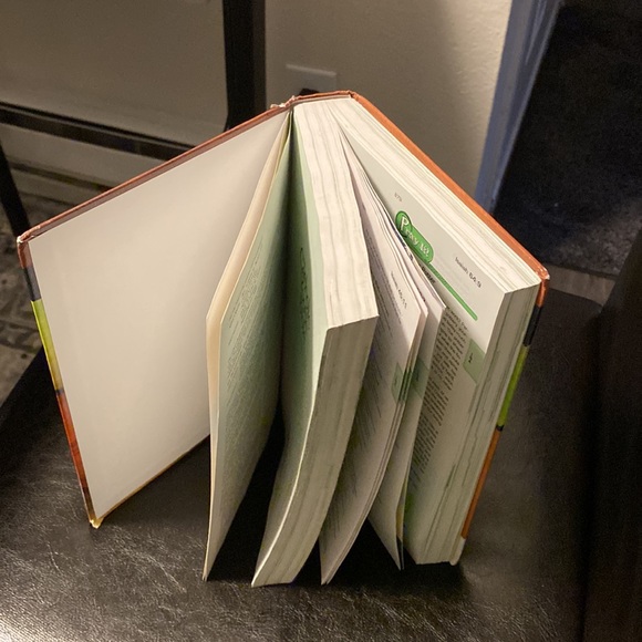 The Catholic Youth Bible (Catholic Edition) NRSV Catholic Edition - Picture 4 of 12